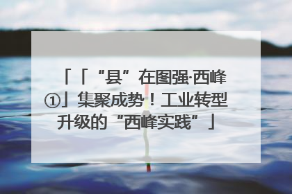 「“县”在图强·西峰①」集聚成势！工业转型升级的“西峰实践”