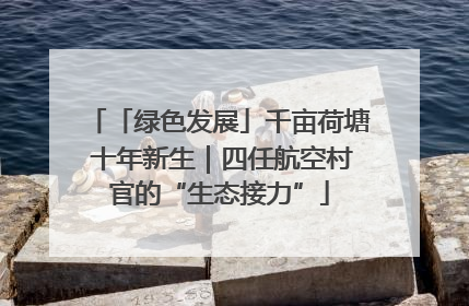 「绿色发展」千亩荷塘 十年新生｜四任航空村官的“生态接力”