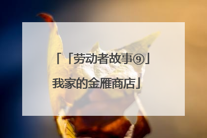 「劳动者故事⑨」我家的金雁商店