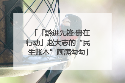「黔进先锋·贵在行动」赵大志的“民生账本”画满勾勾