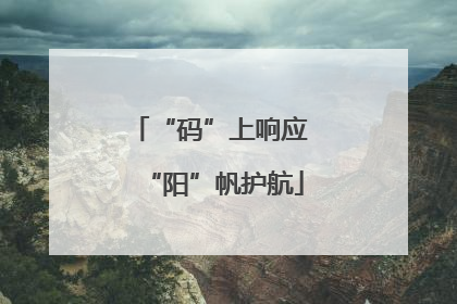 “码”上响应 “阳”帆护航