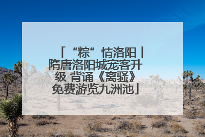 “粽”情洛阳丨隋唐洛阳城宠客升级 背诵《离骚》免费游览九洲池