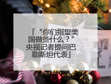 “你们指望美国做些什么？”央视记者提问巴勒斯坦代表