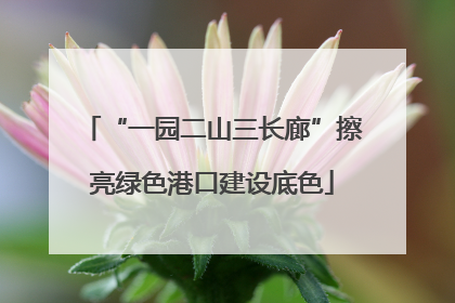 “一园二山三长廊”擦亮绿色港口建设底色