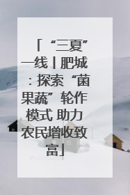 “三夏”一线丨肥城：探索“菌果蔬”轮作模式 助力农民增收致富