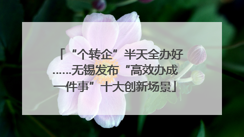 “个转企”半天全办好……无锡发布“高效办成一件事”十大创新场景