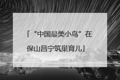 “中国最美小鸟”在保山昌宁筑巢育儿