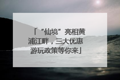 “仙境”亮相黄浦江畔，三大优惠游玩政策等你来