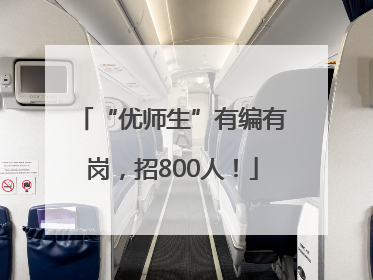 “优师生”有编有岗，招800人！