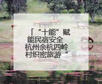 “十能”赋能民宿安全 杭州余杭四岭村织密旅游“防护网”