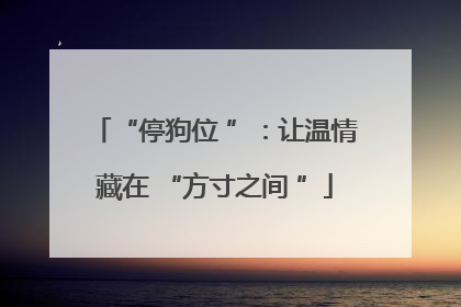 “停狗位 ”：让温情藏在 “方寸之间 ”