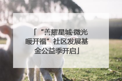 “善耀星城·微光暖开福”社区发展基金公益季开启