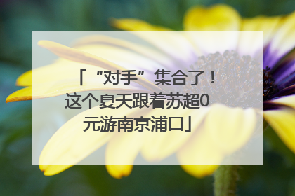 “对手”集合了！这个夏天跟着苏超0元游南京浦口