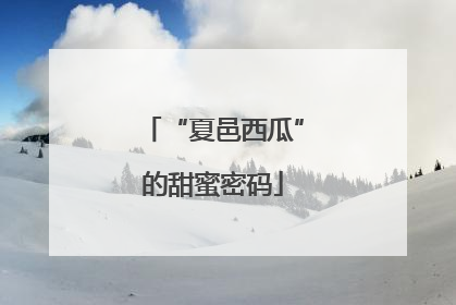 “夏邑西瓜”的甜蜜密码