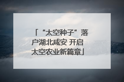 “太空种子”落户湖北咸安 开启太空农业新篇章