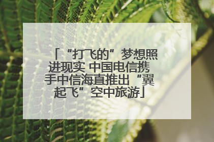 “打飞的”梦想照进现实 中国电信携手中信海直推出“翼起飞”空中旅游