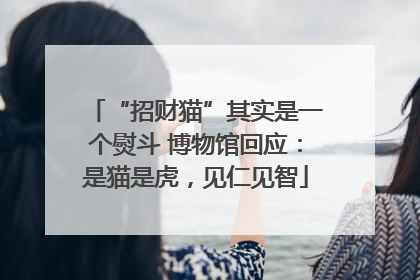 “招财猫”其实是一个熨斗 博物馆回应：是猫是虎，见仁见智