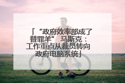 “政府效率部成了替罪羊” 马斯克：工作重点从裁员转向政府电脑系统