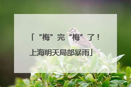 “梅”完“梅”了！上海明天局部暴雨