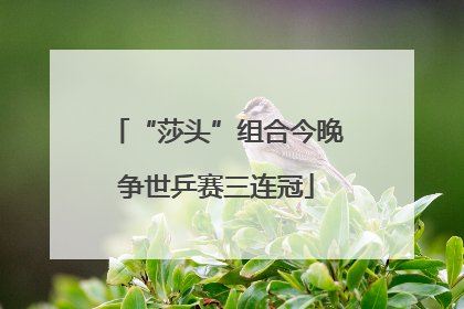 “莎头”组合今晚争世乒赛三连冠