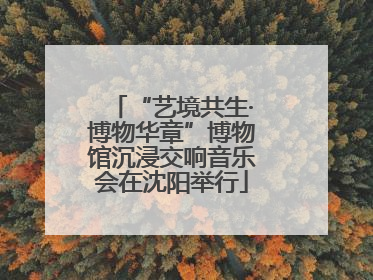 “艺境共生·博物华章”博物馆沉浸交响音乐会在沈阳举行