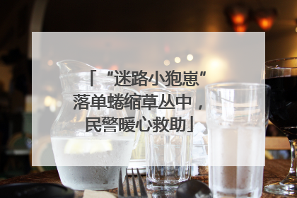 “迷路小狍崽”落单蜷缩草丛中，民警暖心救助