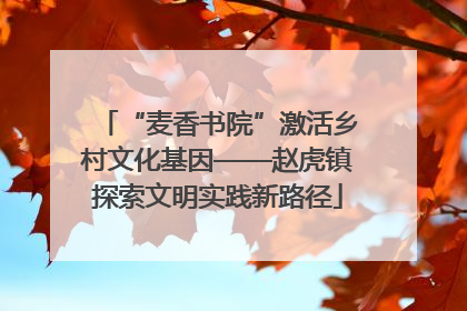 “麦香书院”激活乡村文化基因——赵虎镇探索文明实践新路径