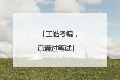 王皓考编，已通过笔试
