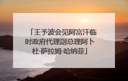 王予波会见阿富汗临时政府代理副总理阿卜杜·萨拉姆·哈纳菲