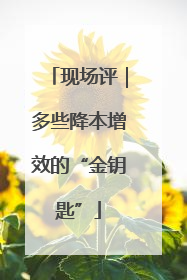 现场评｜多些降本增效的“金钥匙”