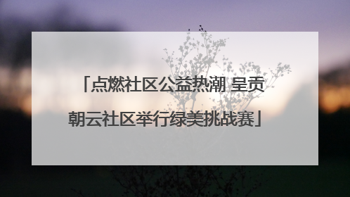 点燃社区公益热潮 呈贡朝云社区举行绿美挑战赛