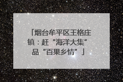 烟台牟平区王格庄镇：赶“海洋大集” 品“百果乡情”