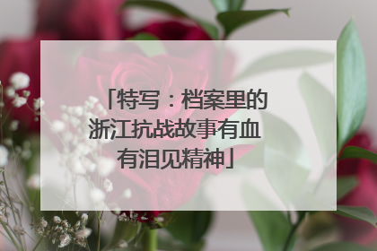 特写：档案里的浙江抗战故事有血有泪见精神