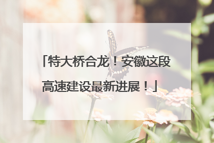 特大桥合龙！安徽这段高速建设最新进展！
