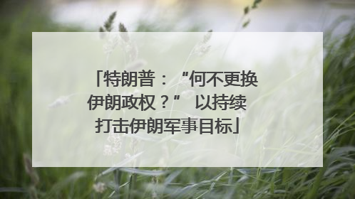 特朗普：“何不更换伊朗政权？” 以持续打击伊朗军事目标