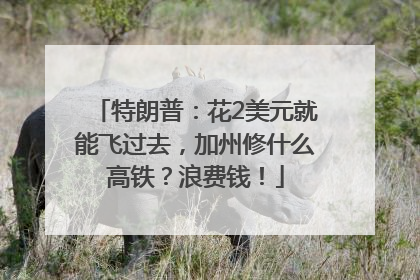 特朗普：花2美元就能飞过去，加州修什么高铁？浪费钱！