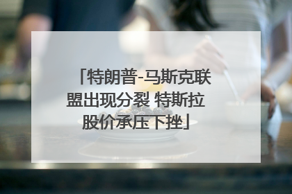 特朗普-马斯克联盟出现分裂 特斯拉股价承压下挫
