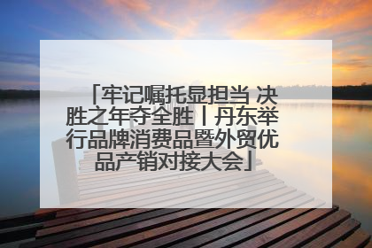 牢记嘱托显担当 决胜之年夺全胜丨丹东举行品牌消费品暨外贸优品产销对接大会