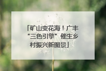 矿山变花海！广丰“三色引擎”催生乡村振兴新图景