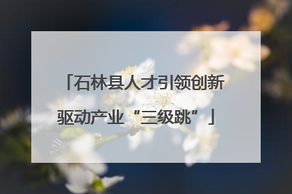 石林县人才引领创新驱动产业“三级跳”