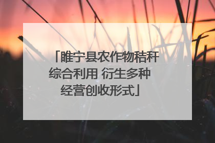 睢宁县农作物秸秆综合利用 衍生多种经营创收形式
