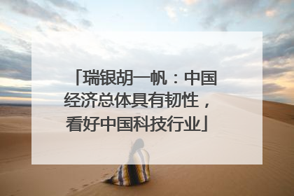 瑞银胡一帆：中国经济总体具有韧性，看好中国科技行业