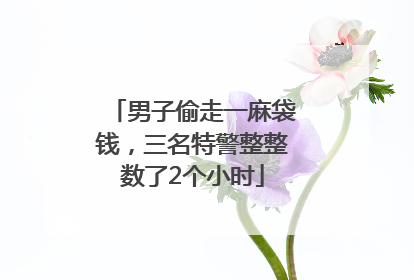 男子偷走一麻袋钱，三名特警整整数了2个小时