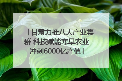甘肃力推八大产业集群 科技赋能寒旱农业冲刺6000亿产值