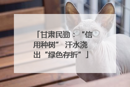 甘肃民勤：“信用种树” 汗水浇出“绿色存折”