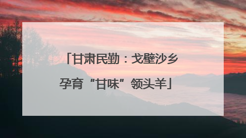 甘肃民勤：戈壁沙乡孕育“甘味”领头羊