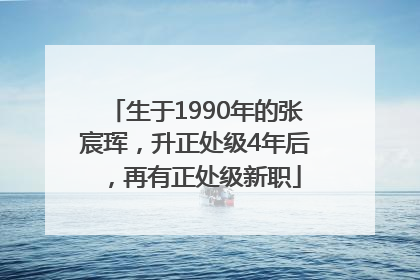 生于1990年的张宸珲，升正处级4年后，再有正处级新职