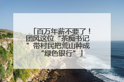 百万年薪不要了！团风这位“茶痴书记”带村民把荒山种成“绿色银行”