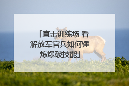 直击训练场 看解放军官兵如何锤炼爆破技能