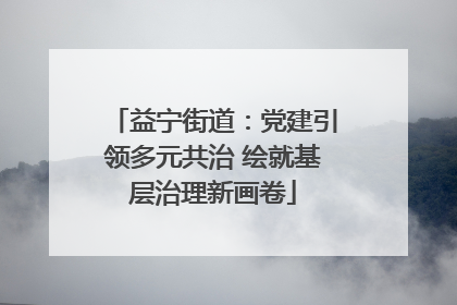 益宁街道：党建引领多元共治 绘就基层治理新画卷